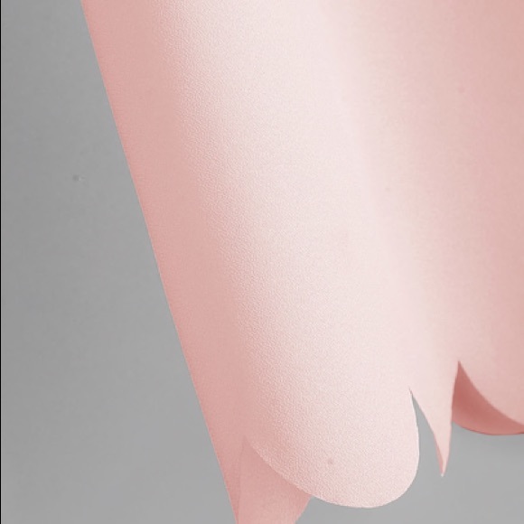 FIORELLA Blush Petal Sleeve Blouse - Picture 5 of 6